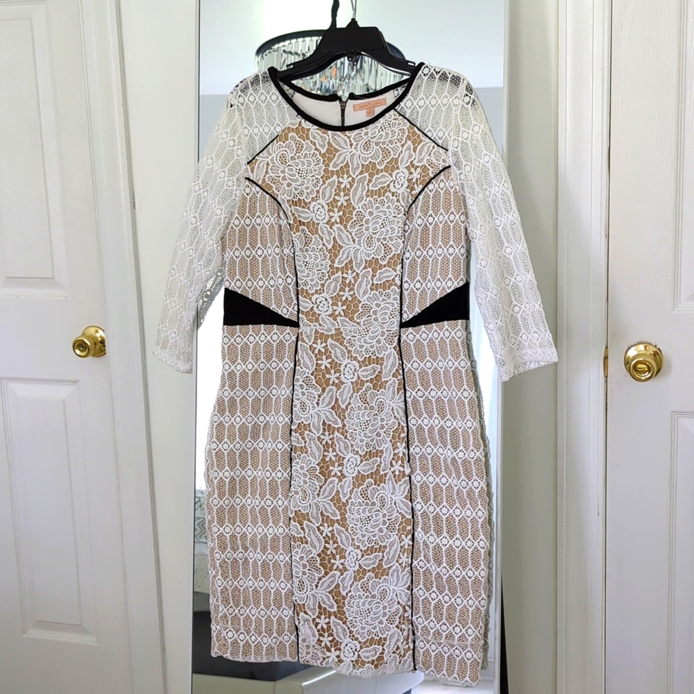 Lace Sheath Bodycon Dress